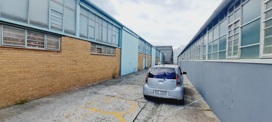 To Let commercial Property for Rent in Chantecler Western Cape